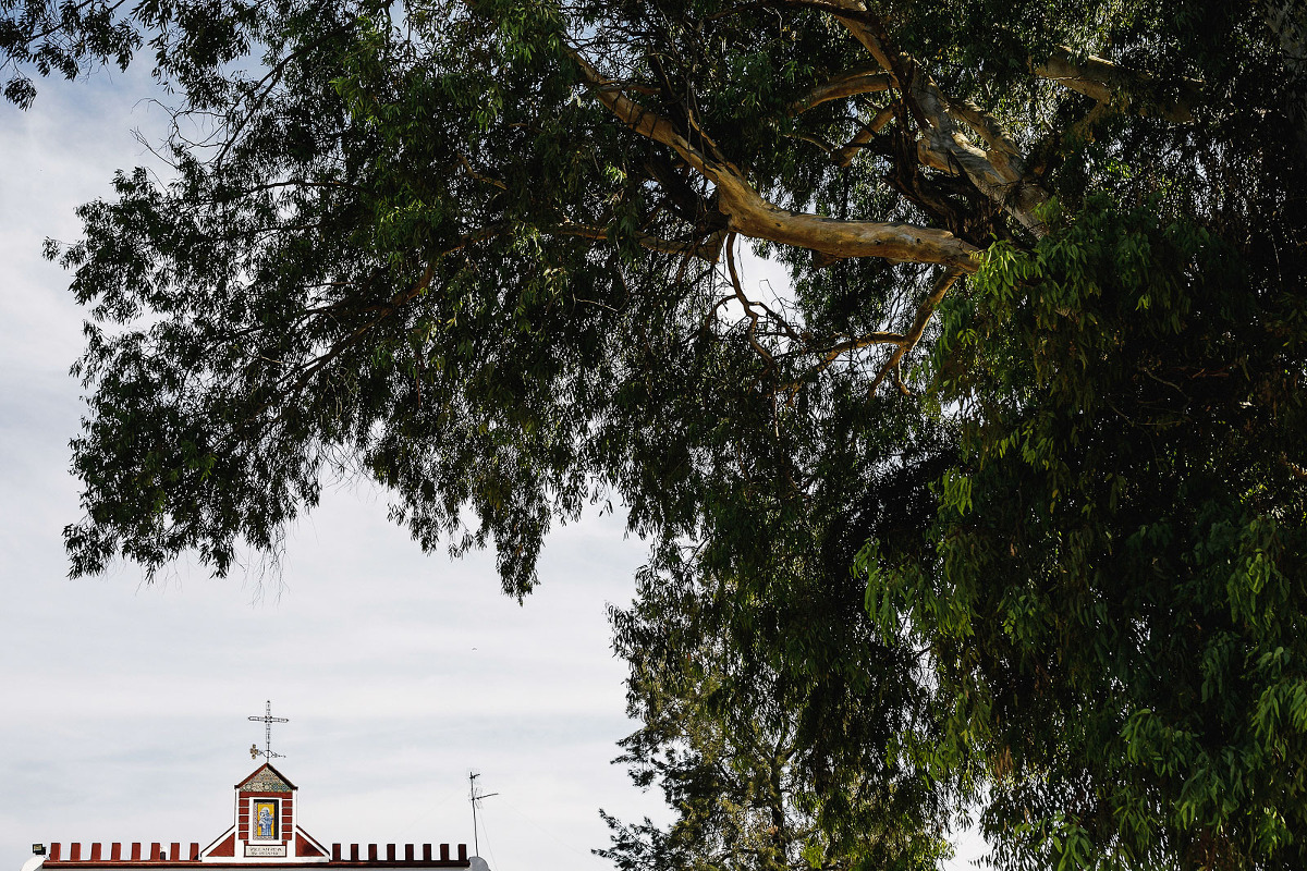 Fotografia de boda en Sevilla. Hacienda Villanueva del Pítamo. Juan Luis Morilla. Wedding photography.